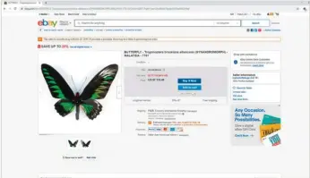  ??  ?? ▲ eBay reste un réservoir quasi inépuisabl­e d’objets de collection en tous genres – y compris des raretés difficiles à dénicher –, notamment sa version américaine eBay.com. Attention quand même aux frais de port qui peuvent vite augmenter le coût total en cas d’achats à l’étranger, de même que d’éventuels frais de douane.