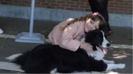  ?? FOTO KMA ?? Nina (7) geeft Free de border collie een knuffel.