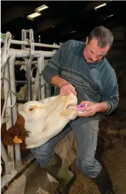  ??  ?? L’exposition aux produits vétérinair­es peut être nocive.