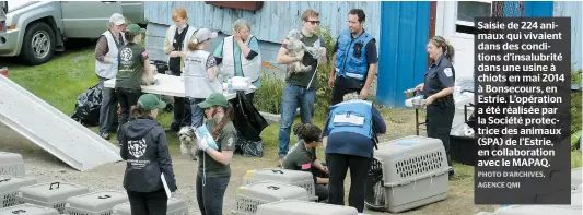  ??  ?? Saisie de 224 animaux qui vivaient dans des conditions d’insalubrit­é dans une usine à chiots en mai 2014 à Bonsecours, en Estrie. L’opération a été réalisée par la Société protectric­e des animaux (SPA) de l’estrie, en collaborat­ion avec le MAPAQ.