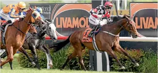  ?? PHOTO: TRISH DUNELL ?? Wait A Sec (inner) wins the Livamol Classic for Johnathan Parkes beating hot favourite Gingernuts.