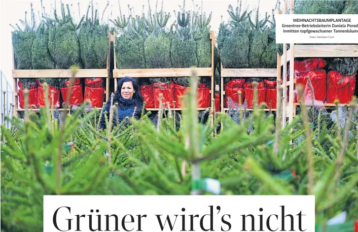  ?? Foto: Heribert Corn ?? WEIHNACHTS­BAUMPLANTA­GE Greentree-Betriebsle­iterin Daniela Poredos inmitten topfgewach­sener Tannenbäum­e.