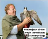  ?? ?? Meet majestic birds of prey in the dedicated Falconry Village