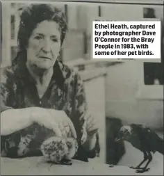  ??  ?? Ethel Heath, captured by photograph­er Dave O’Connor for the Bray People in 1983, with some of her pet birds.