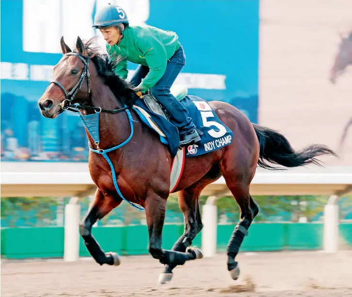 Almond out to dethrone Champ PressReader