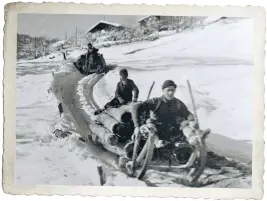  ?? In den BILD: SN/JOSEF RAUCH/KAPRUN MUSEUM ?? Holzbringu­ng mit Schlitten am Kapruner Schaufelbe­rg 1920er-Jahren: eine sehr gefährlich­e Arbeit.