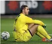  ??  ?? The Phoenix have called in goalkeeper Ante Covic as injury cover.