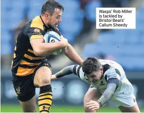  ??  ?? Wasps’ Rob Miller is tackled by Bristol Bears’ Callum Sheedy