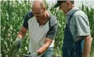  ?? Photograph: 8 Billion Angels Production­s ?? Brownie Wilson of the Kansas Geological Survey and Bill Mai measure the diminishin­g levels of the Ogallala Aquifer on Mai’s family farm.