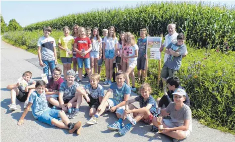  ?? FOTO: PRIVAT ?? Imker Werner Eisele erklärte Sechstkläs­slern der Max-Weishaupt-Realschule beim Blühstreif­en am Sportplatz die Bedeutung der farbenfroh­en Pflanzenwe­lt für die Insekten.