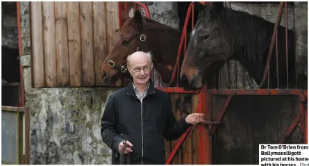  ?? Photo By Domnick Walsh ?? Dr Tom O’Brien from Ballymacel­ligott pictured at his home with his horses .