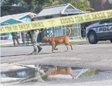  ?? AP/TAMPA BAY TIMES ?? Police work the scene of a fatal shooting in the Seminole Heights neighbourh­ood of Tampa, Florida on Tuesday.