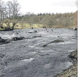  ??  ?? The riverside at Burn House, Edzell, where Angus lived in the Courtyard House for six happy years. Picture: Angus Whitson.