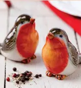  ??  ?? ROBIN SALT AND PEPPER SET £10.00 PLUS £2.99 DELIVERY