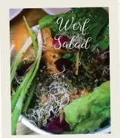  ??  ?? Werf Salad