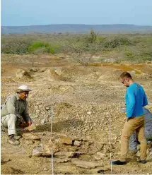  ?? Edwin Cadena ?? Paleontólo­gos escavam fóssil na Venezuela