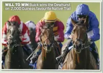  ?? ?? WILL TO WIN Buick wins the Dewhurst on 2,000 Guineas favourite Native Trail