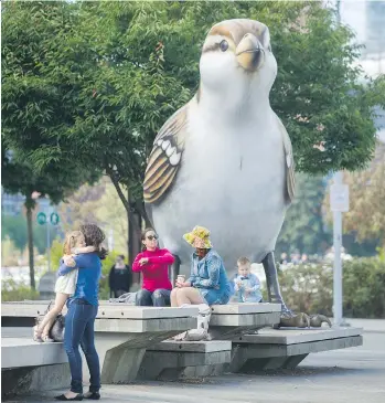  ?? ARLEN REDEKOP ?? The giant sparrows at Olympic Village are to be refurbishe­d and strengthen­ed over a 10-month span and should be back on display for the 27th Internatio­nal Ornitholog­ical Congress in Vancouver next August.