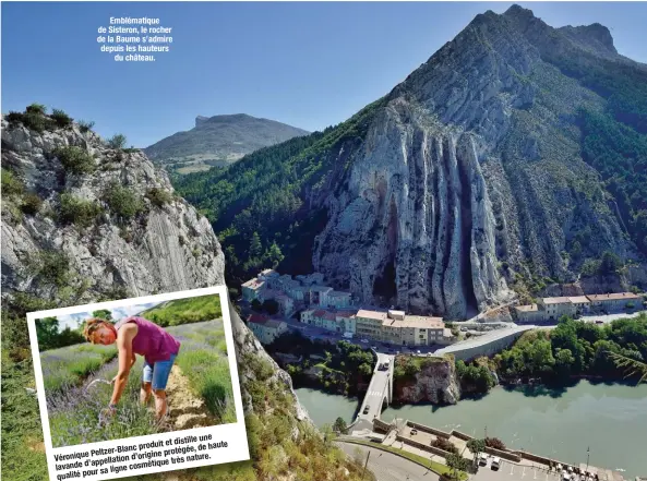  ??  ?? Emblématiq­ue de Sisteron, le rocher de la Baume s’admire depuis les hauteurs du château. distille une produit et dehaute Peltzer-Blanc protégée, Véronique d’origine nature. tion d’appella ue très lavande cosmétiq sa ligne qualité pour