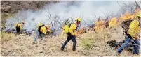  ?? ?? ▮ Los incendios forestales son causados en lo general por algunas personas que acostumbra­n pasar su tiempo de vacaciones en el campo y no tienen cuidado de apagar bien las fogatas.