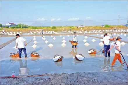  ?? INDUSTRY MINISTRY ?? Workers check the conditions of a salt field in Kampot province on January 19.