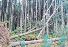  ?? FOTO: AEFK KEMPTEN ?? Der Sturm hat auch im Wald große Schäden angerichte­t.