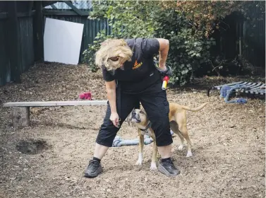  ?? PHOTOS: ALDEN WILLIAMS/THE PRESS ?? Latte, pictured with shelter assistant Natalie Esmar, is a fence jumper and has a high prey drive, but she knows a wide range of tricks.