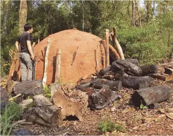  ?? FOTO: IFONA/DPA ?? Ein Ofen zur Herstellun­g von Holzkohle in Tavai/Paraguay.