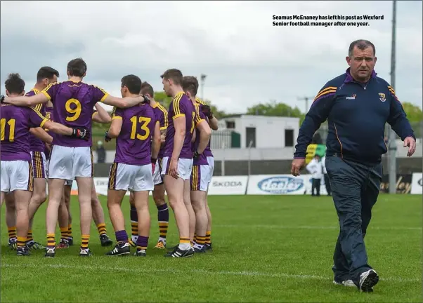  ??  ?? Seamus McEnaney has left his post as Wexford Senior football manager after one year.