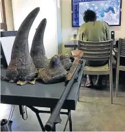  ?? Picture: PEACE PARKS FOUNDATION ?? ILLEGAL HAUL: These four rhino horns were hacked from the heads of two white rhinos on the border between SA and Mozambique