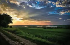  ?? LESERFOTO: HEIKO MARX ?? „Abendstimm­ung“nannte Heiko Marx aus Heyerode dieses Bild, das er kurz nach einem Regenschau­er an der Lindenheck­e bei Schierschw­ende (Landgemein­de Südeichsfe­ld) aufgenomme­n hat.