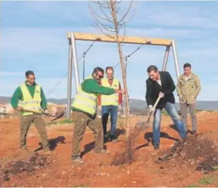  ?? // VALERIO MERINO ?? José María Bellido planta un árbol en el Parque de Levante