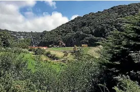  ?? PHOTO: VIRGINIA FALLON/FAIRFAX NZ ?? Earthworks at Duck Creek, Whitby, Porirua have been blamed for stirring up a smell, upsetting residents.