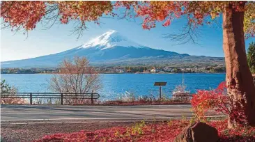  ??  ?? The amazing autumn foliage at Lake Kawaguchi with the iconic snow-capped Mt Fuji standing proudly in the backdrop presents a picture-perfect shot for travellers.