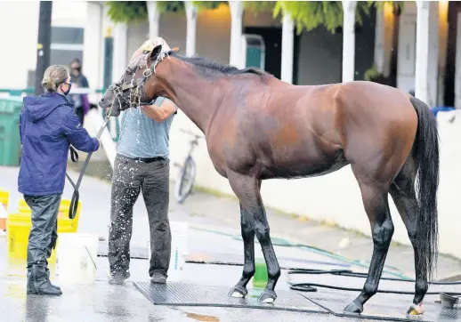  ?? AP ?? Kentucky Derby favourite Tiz the Law gets a bath following a workout at Churchill Downs yesterday in Louisville, Kentucky. The Kentucky Derby is scheduled for Saturday, September 5.