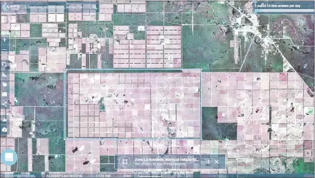  ??  ?? Toda deforestad­a, la estancia San Francisco, marcada en el centro de la imagen satelital “Sentinel - 2”, del 19/02/19.