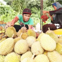  ??  ?? A trader piles up durians at his stall by the roadside. — Bernama photo