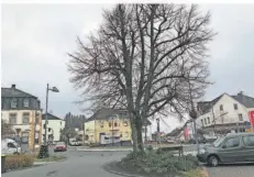  ?? FOTO: DIETER STEINMANN ?? Nach langer Diskussion steht fest: die sogenannte Heimatlind­e am Kreisel in Bildstock bleibt am angestammt­en Platz.