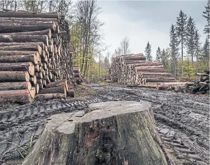  ?? Shuttersto­ck ?? La deforestac­ión contribuye a degradar la tierra y aumentar el cambio climático