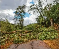  ?? Foto: Nicolas Armer, dpa ?? Viele umgestürzt­e Bäume, Zugausfäll­e und sogar ein Todesopfer – das ist die traurige Bilanz des Sturmtiefs „Fabienne“allein in Bayern.