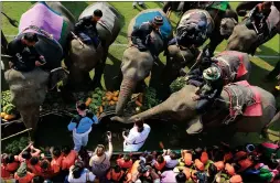  ?? Picture: Sakchai Lalit/ap ?? „ Elephants are fed fruit before the annual King’s Cup elephant polo match in Bangkok, Thailand, which raises funds for wildlife projects.