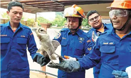 Experts sound the alarm - PressReader