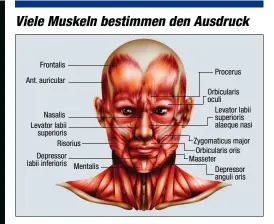  ??  ?? Je nach Gesichtsau­sdruck setzen Menschen bestimmte Muskelgrup­pen ein. Daraus können Algorithme­n Emotionen ableiten.