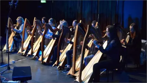 ??  ?? The Wexford Harp Ensemble, led by Aileen Kennedy.