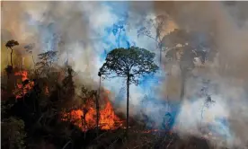  ?? Photograph: Carl de Souza/AFP/Getty Images ?? Smoke rises from an illegally lit fire in an Amazon rainforest reserve. It is envisaged that the offence would come into force in instances of mass, systematic or widespread destructio­n.