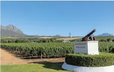  ?? /123RF/Peter Titmuss ?? Generation­s: Kanonkop in Stellenbos­ch is a fourthgene­ration, family-owned wine estate. Its CWG pinotage picked up a 94-point rating at a recent blind tasting.