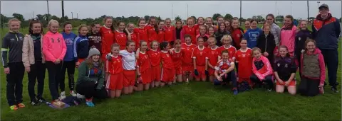  ??  ?? The Louth contingent that travelled to Portlaoise for the Leinster blitz.