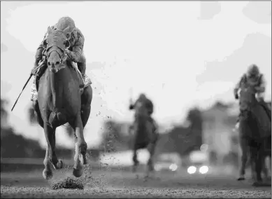  ?? ADAM COGLIANESE/COGLIANESE PHOTOS ?? Gunnevera, who won the Fountain of Youth, likely will meet familiar foes in the Florida Derby.