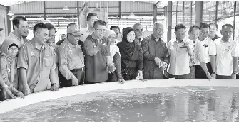 MoU on fish and lobster farming project signed - PressReader