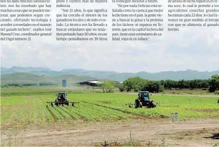  ?? Foto EL HERALDO DE DELICIAS ?? La gran calidad de la alfalfa y otros forrajes, permite que el ganado produzca una leche de gran calidad.